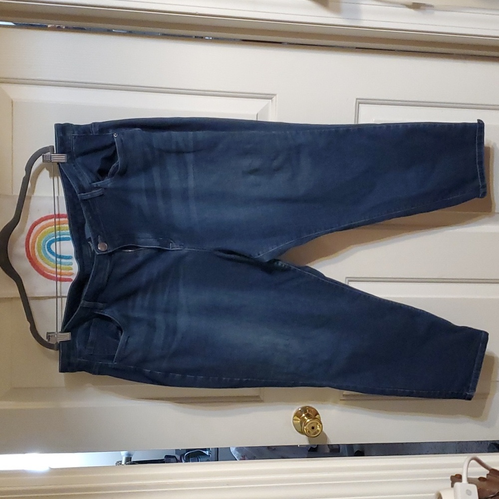 Lane Bryant jeans size 26